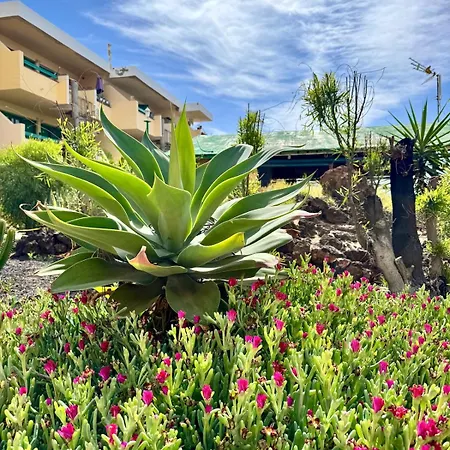 La Casita De Aiko E Yuki Appartement Costa De Antigua