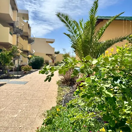 La Casita De Aiko E Yuki